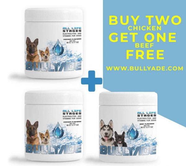 vitamin supplement for dogs